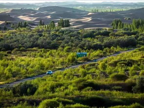 億利榮獲國(guó)家林業(yè)重點(diǎn)龍頭企業(yè)稱號(hào)，引領(lǐng)綠色工業(yè)發(fā)展