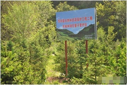 山林地被定性為自然林后的開發(fā)限制與應(yīng)對(duì)策略