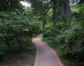 北京林業(yè)大學(xué)游覽全攻略 門票、地址、路線與工業(yè)風(fēng)景點(diǎn)探索